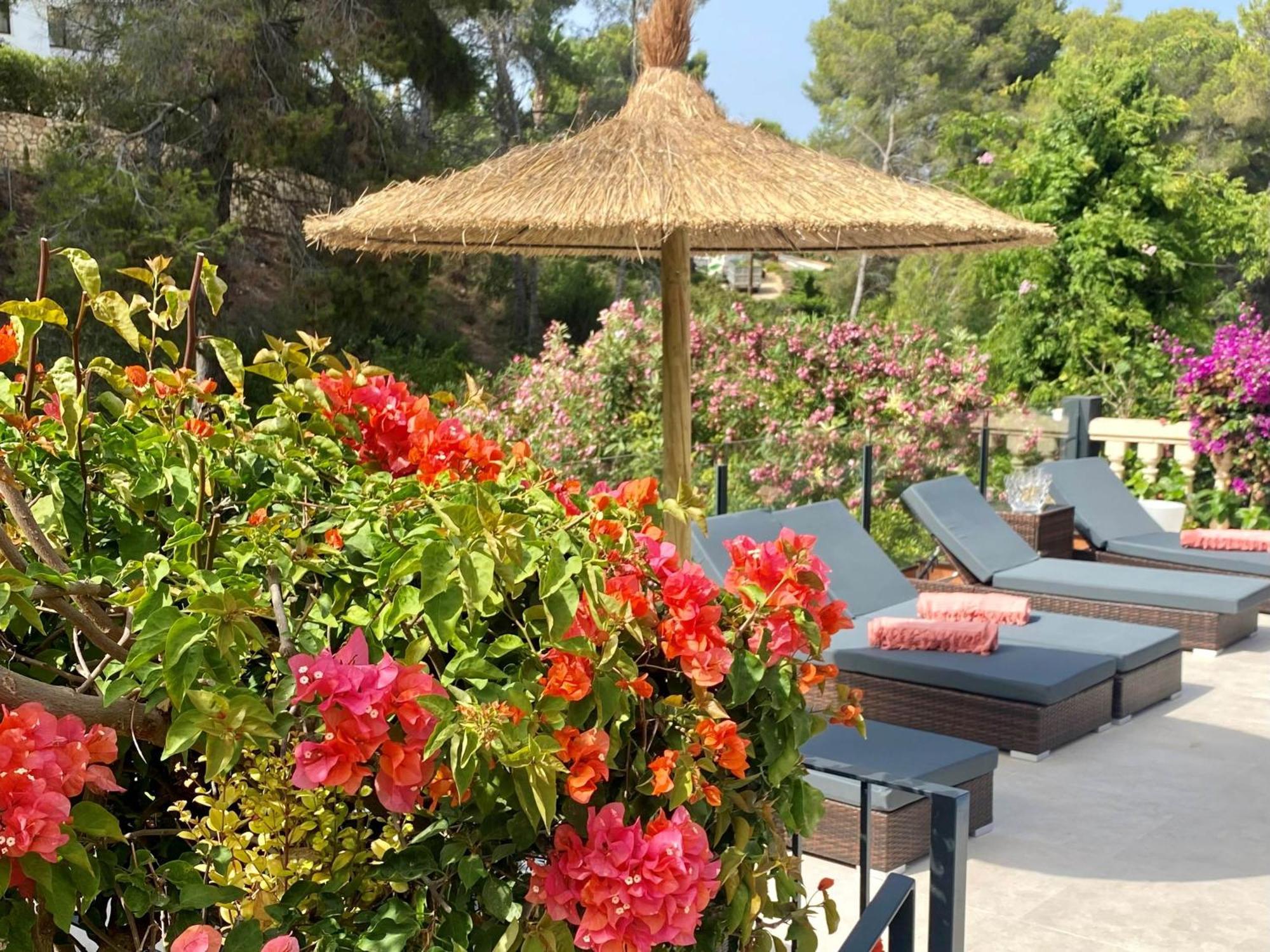 Palmera Jávea エクステリア 写真